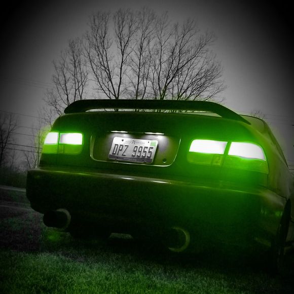 Meet your Posher, Brandon - Picture 1 of 1